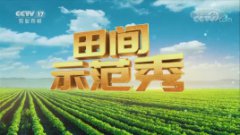 CCTV17中央電視臺農業農村頻道田間示范秀廣告代理